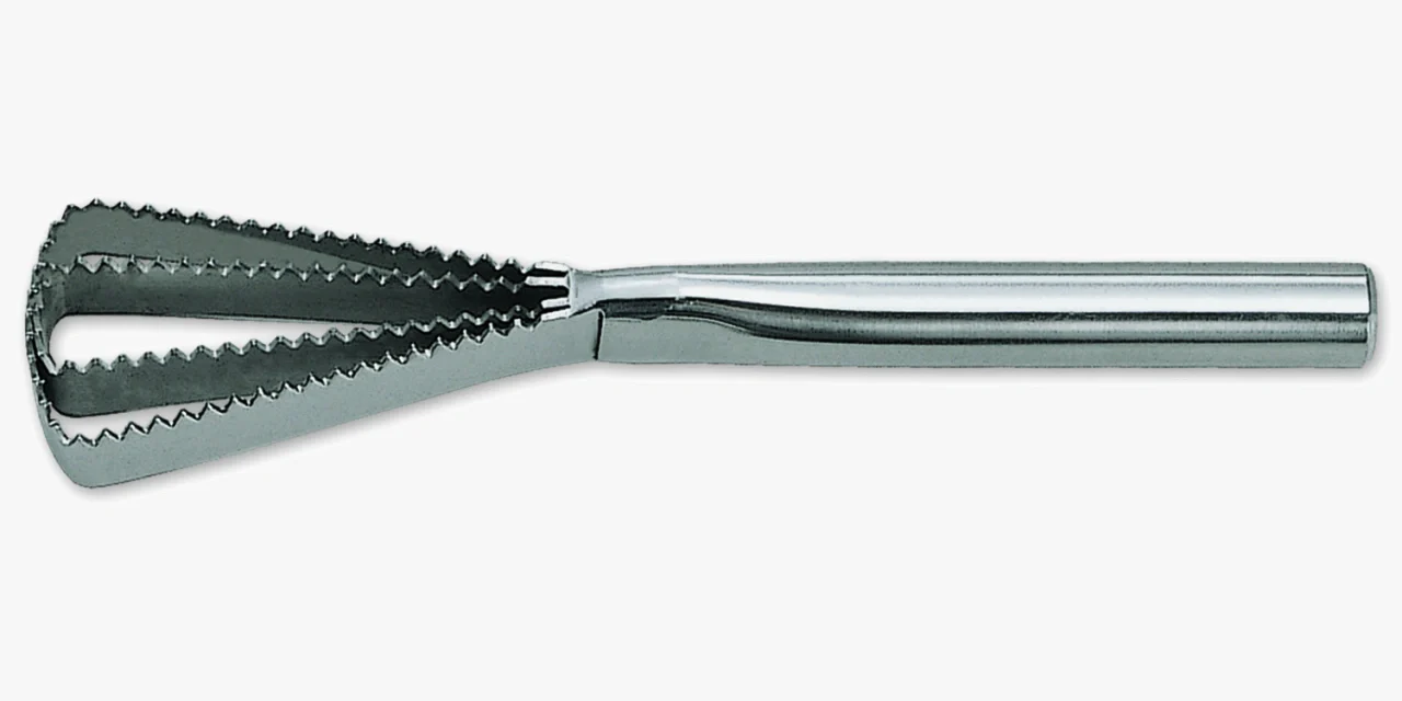 Escamador de Pescado 260 mm